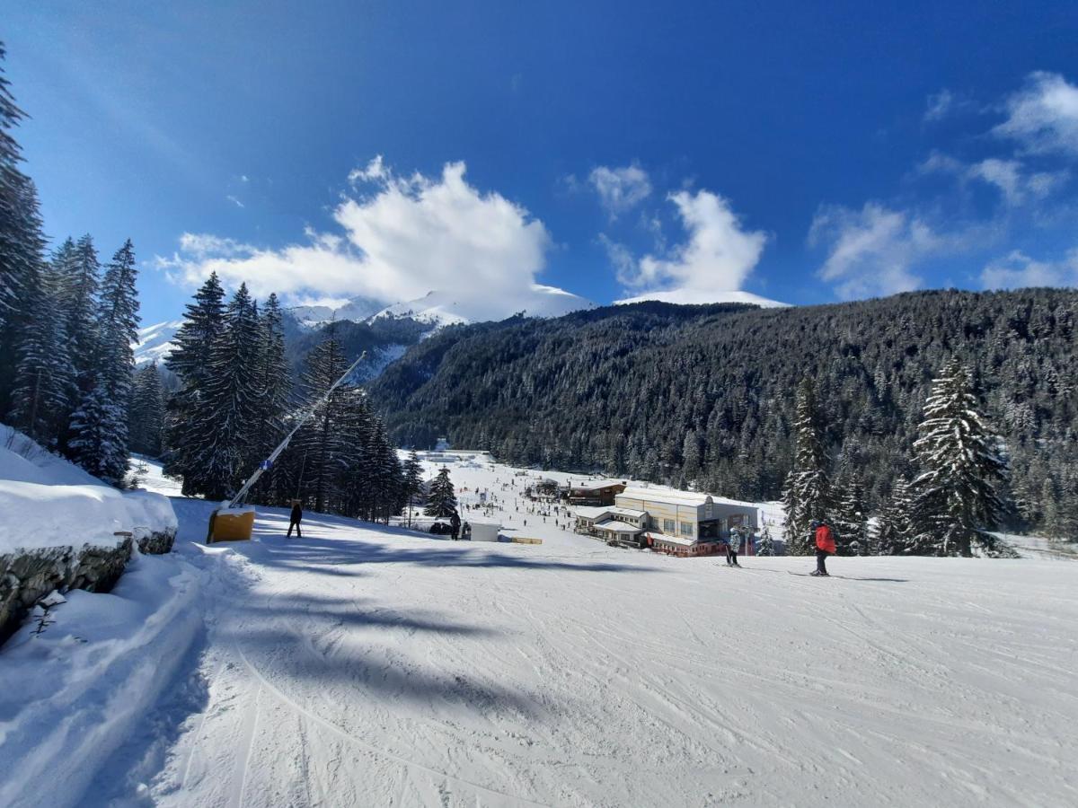 Apartment In Aspen Golf Bansko Dış mekan fotoğraf